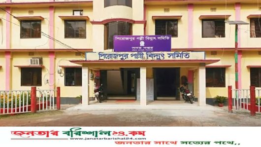 পিরোজপুরে অবৈধ সংযোগ বিচ্ছিন্ন করতে গিয়ে হামলার শিকার পল্লী বিদ্যুতের ৬ কর্মী