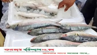 ৫০০ টাকা কেজি ভারত-মিয়ানমারের ইলিশ দেশে বিক্রি ১৪০০-১৮০০!
