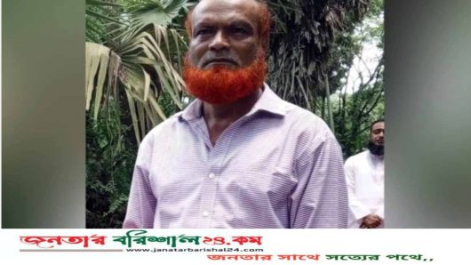 চুরি হওয়া গরু মিলল বিএনপি নেতার গোয়ালঘরে