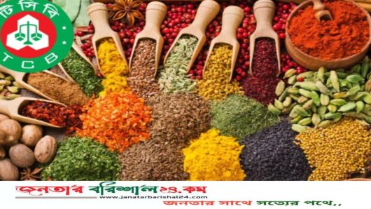 নভেম্বরে প্যাকেটজাত মসলা ও চা বিক্রি শুরু করবে টিসিবি
